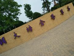 -大塘金香草谷