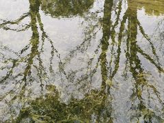 -云溪植物园