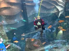-西雅图水族馆