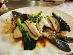 -勒南公舍(龙江店)
