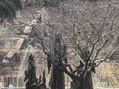 -红螺寺