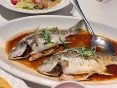 -闽海肴(北辰荟店)