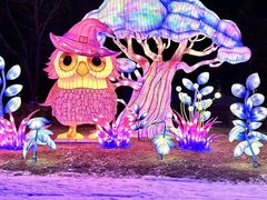 -沈阳奥体冰雪嘉年华