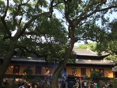 -普陀山风景名胜区-法雨禅寺