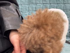 -佳雯宠物医院·皮肤科·内外科(春晓路分院)