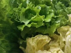 -木王宴语·野生鲜菌火锅(玉河店)