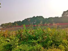 -海珠湖公园
