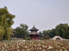 -莲池书院博物馆