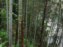 -仙岛湖旅游风景区