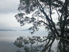 -大埔公路-马料水段香港中文大学(公交站)