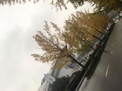 -四川大学(望江校区)