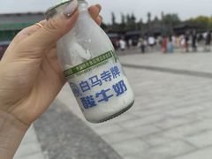 -洛阳白马寺