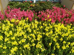 -海心沙亚运公园