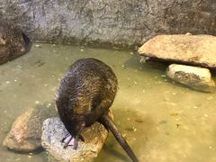 -青青世界