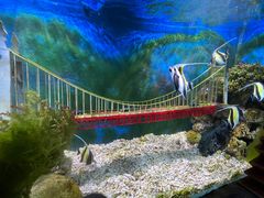 -太平洋海底世界