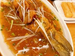 -陈麻婆豆腐总店
