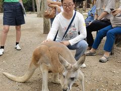 -可伦宾野生动物保护区