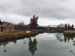 -乌村