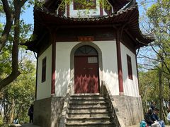 -上海佘山国家森林公园天马山园