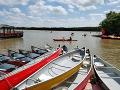 -上海海湾国家森林公园