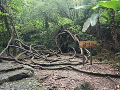 -越王山风景区