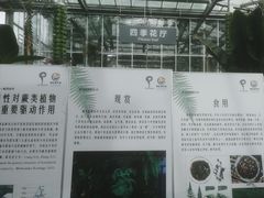 -北京植物园-展览温室