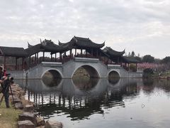 -上海海湾国家森林公园