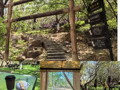 -北京张裕爱斐堡酒庄