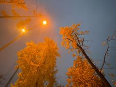 -高庙村(地铁站)