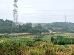 -洪湖生态旅游区