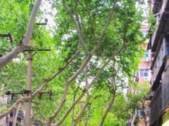 -穆彦华逍遥镇胡辣汤(岗坡路店)