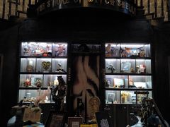 -雪灵魔法世界SHELLY’S TAROT(大良桂畔里店)