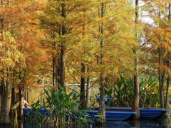 -白鹭湾湿地公园