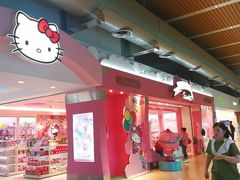 -升恒昌免税商店(桃园国际机场店)