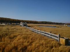 -塞罕坝国家级自然保护区