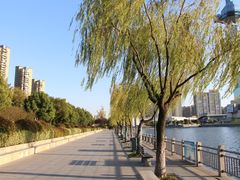 -聚龙湖公园
