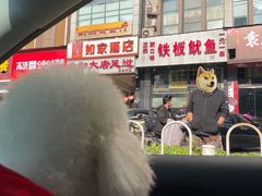 -十里铺铁板鱿鱼