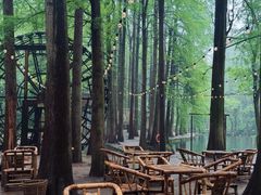 -波尔登森林公园