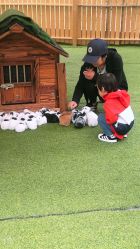 -萌宠亲子动物乐园(槐房万达店)