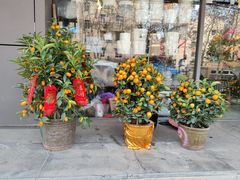 -本溪路花鸟市场(江浦路1709弄小区店)