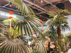 -春润大地海南椰子鸡(沙井京基百纳广场店)