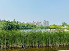 -新江湾城公园