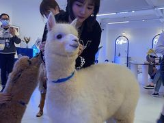 -Blue Concept Cafe&Farm·關於藍