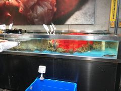 -盒马X会员店(上海森兰商都店)