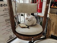 -平行世界·猫咖(首经贸店)