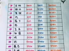 -引领英语·成人口语·雅思托福