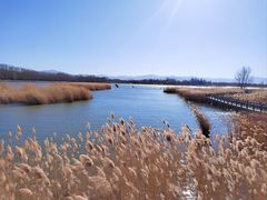 -野鸭湖国家湿地公园