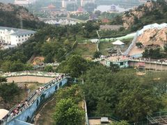 -西霞口神雕山野生动物世界