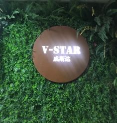-V-STAR威斯达•高级私人定制