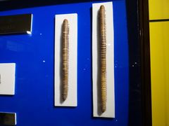 -上海昆虫博物馆